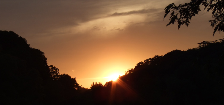 Sky - The Interconnectedness of Life by Michael Lanfield